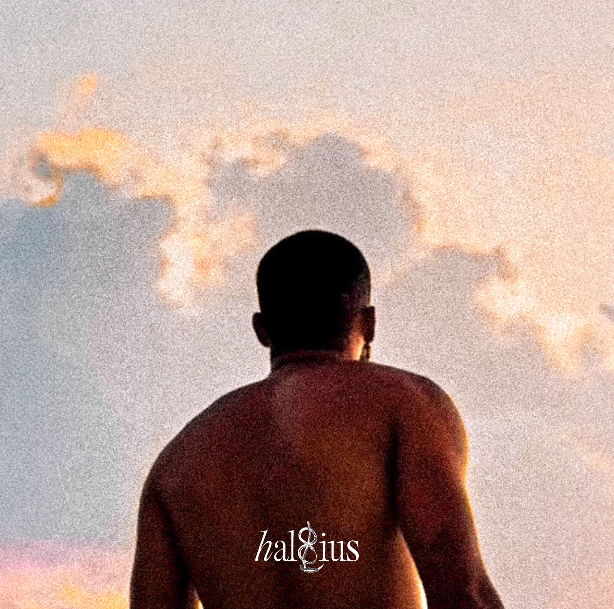 Halsius